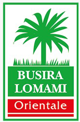 Logo of Busira Lomami Oriental with green palm tree and red banner